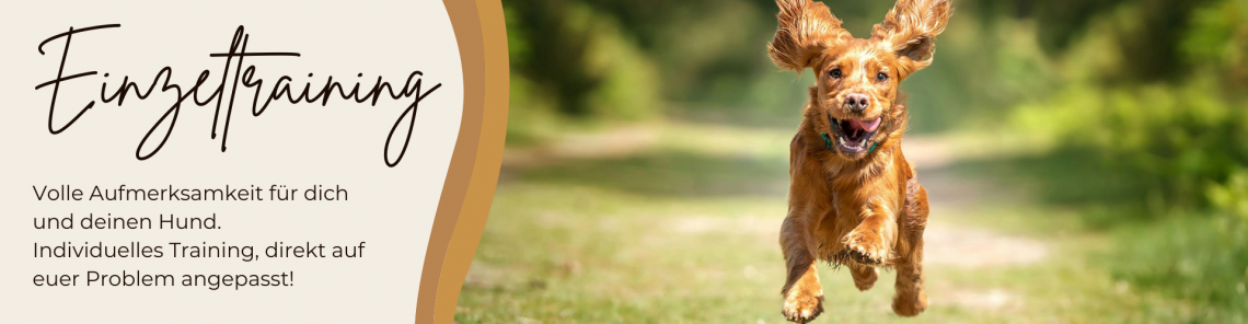 Einzeltraining