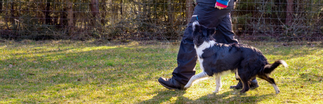 Sport & Spaß - Unterordnung
