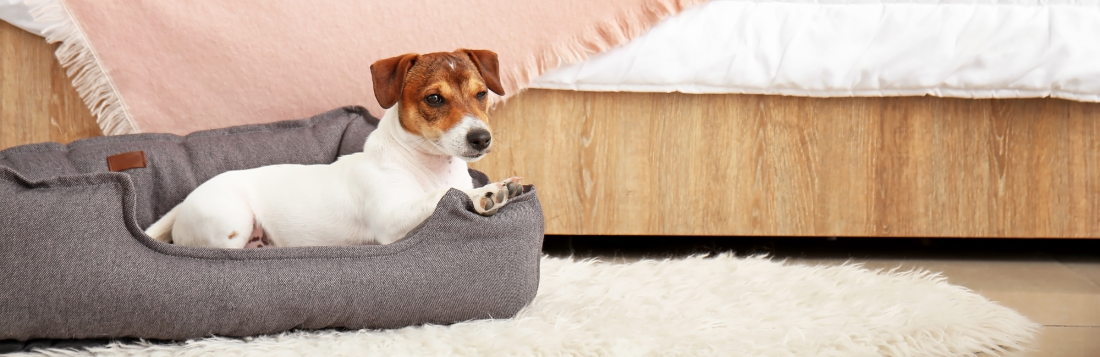 Besuch entspannt meistern